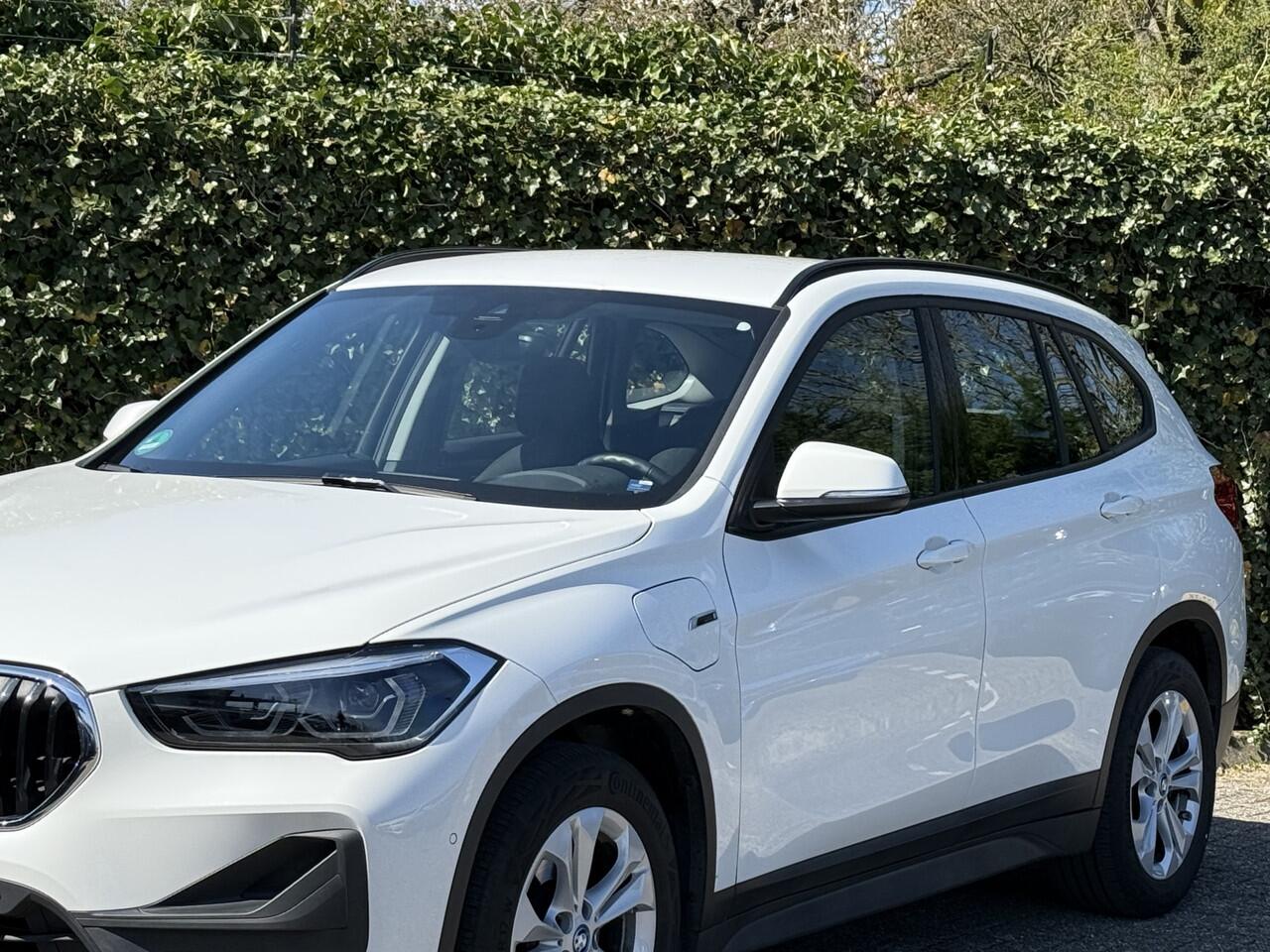 BMW X1 xDrive25e | Park ass. | Trekhaak | Camera