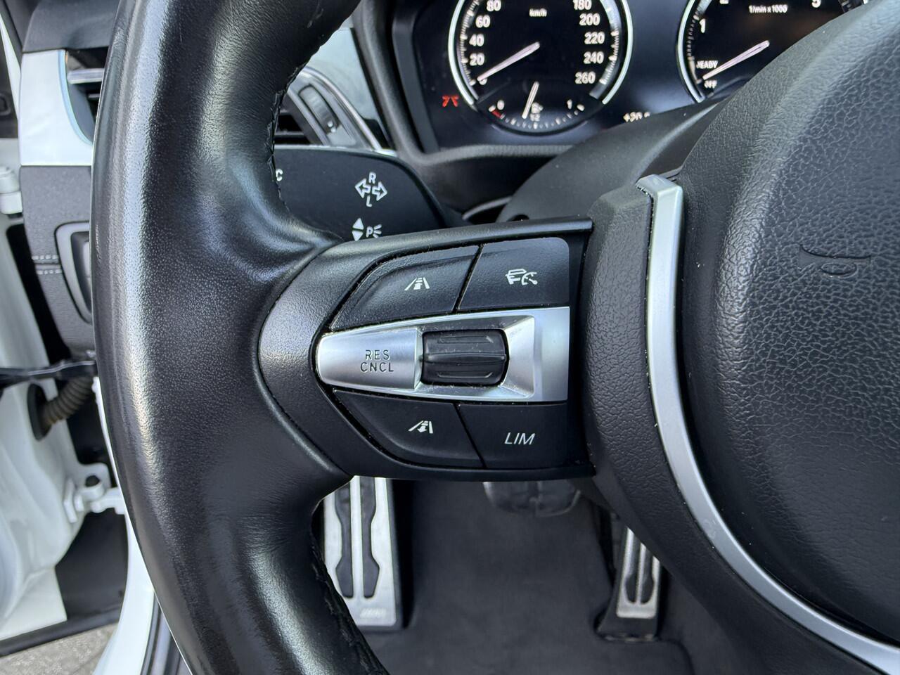 BMW X2 xDrive25e M-Sport Pano/Camera/Aple/Leder