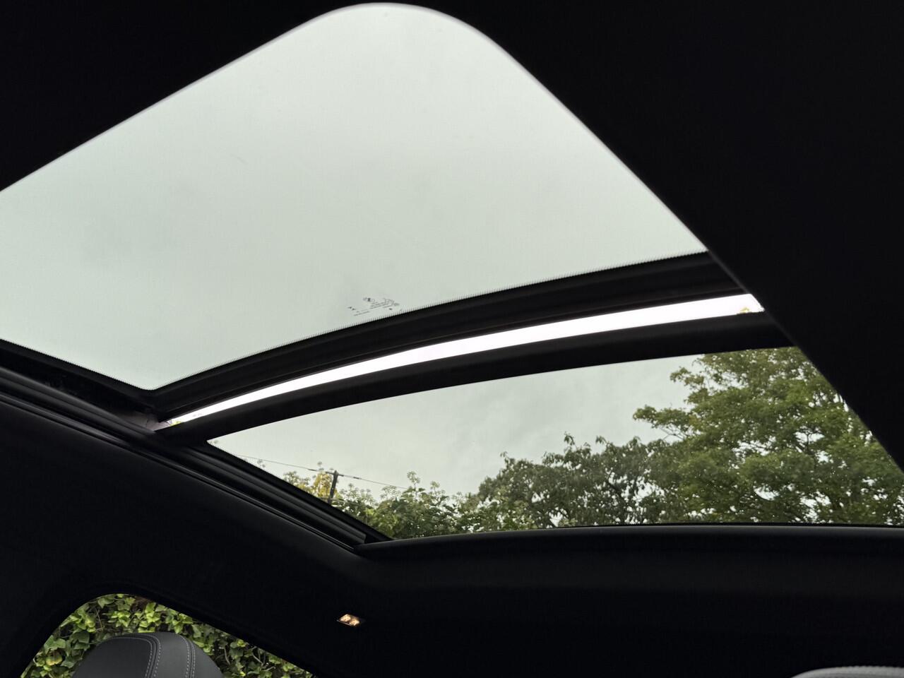 BMW X4 xDrive20i | M-Sport | 20'' | Panorama | Camera | Getint Glas