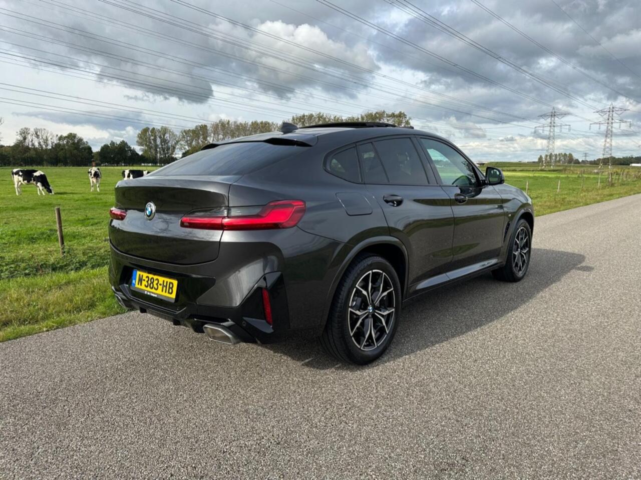 BMW X4 xDrive20i Bns Ed.+ PANORAMADAK | NAP !