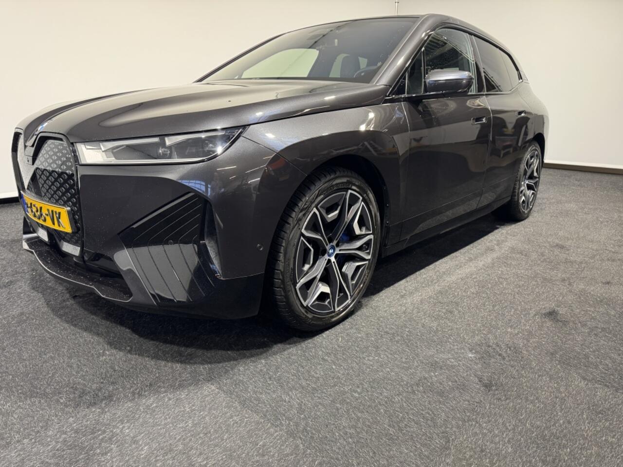 BMW iX High Executive 77 kWh | Laserlicht | Driving Assistant Professio