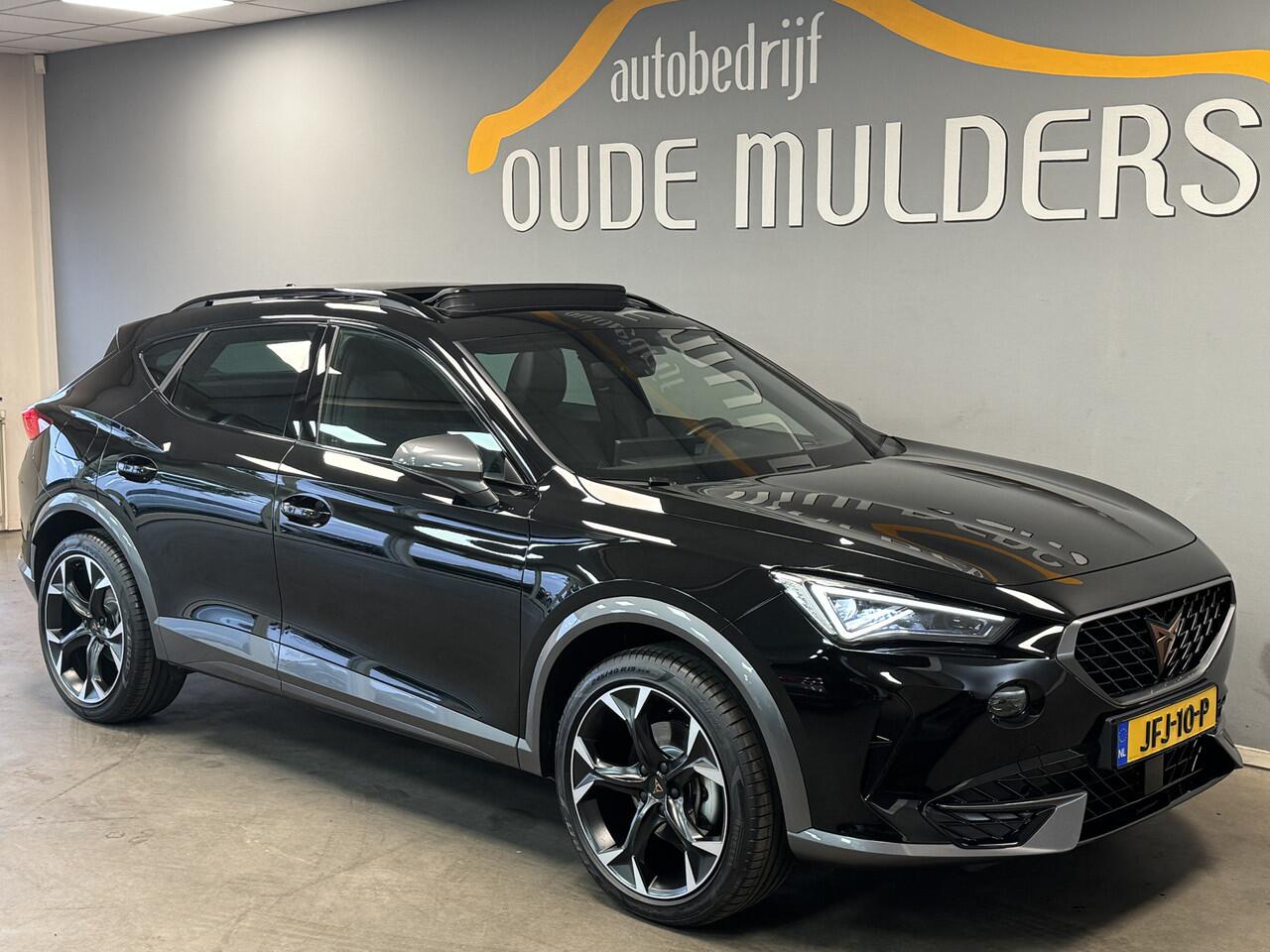 Cupra Formentor 1.4 Panoramadak/Camera/ACC