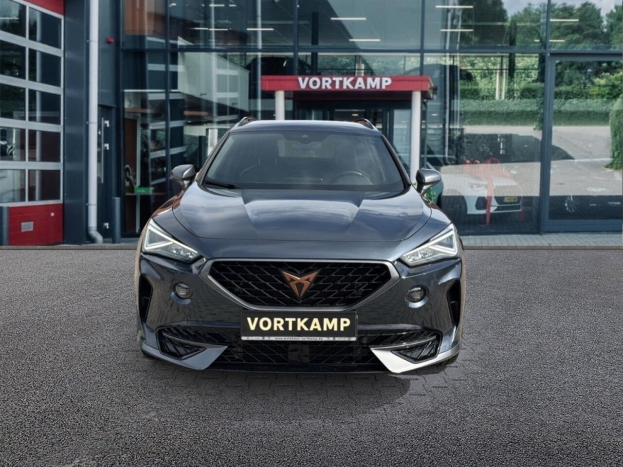 Cupra Formentor 2.0 TDI DSG 4DRIVE CAMERA/ACC/STUUVERW