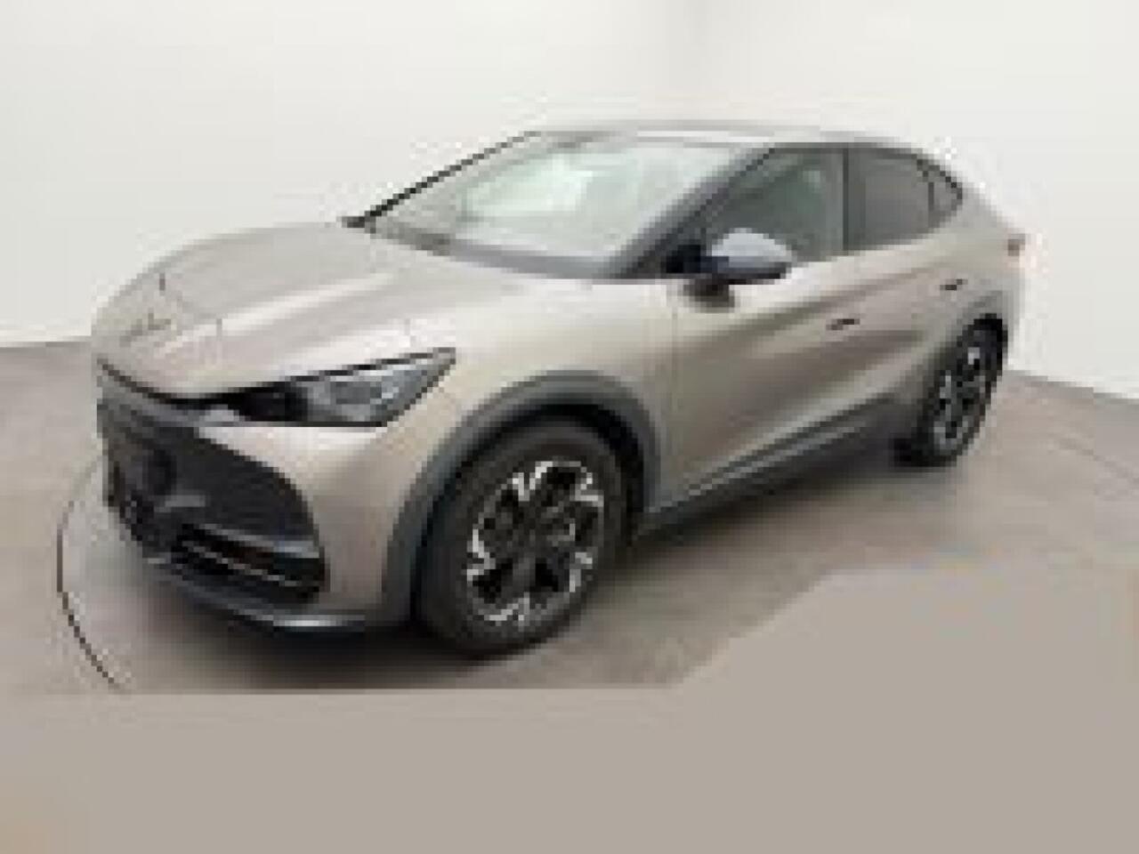 cupra-tavascan-endurance