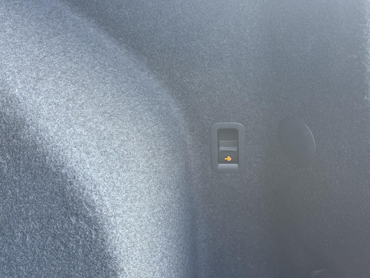 Cupra Terramar 1.5 TSI e-Hybrid VZ Performance 272pk | Trekhaak | Sennheister | 360° camera