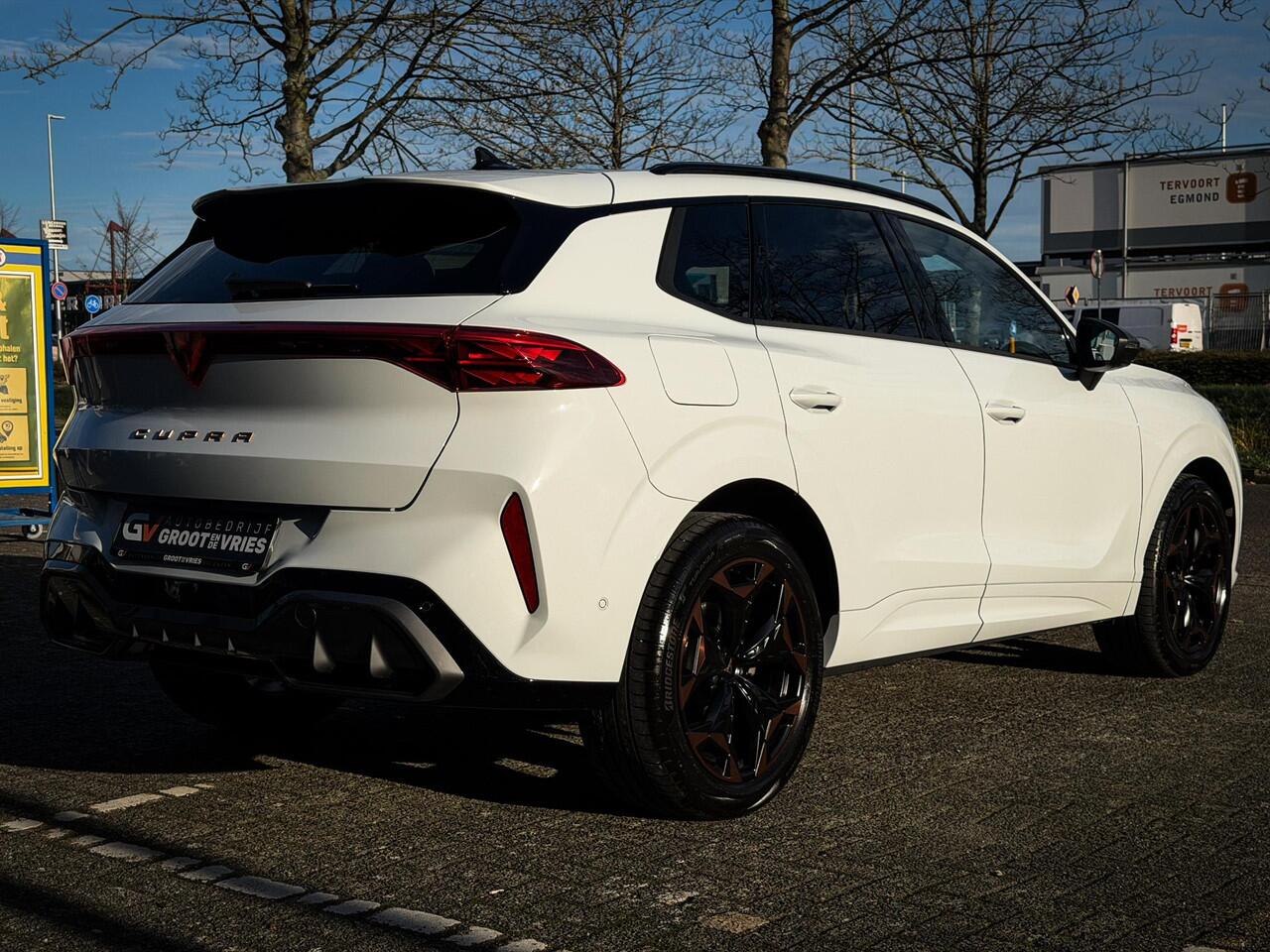 Cupra Terramar 1.5 TSI e-Hybrid Business MHEV|360 camera|Matrix LED|Sport-kuipstoelen|Memory