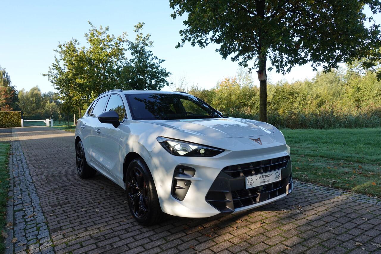 Cupra Terramar 1.5 TSI e-Hybrid Business | 360° Camera | Stoelverwarming | Memory | Stuurwielverw. |