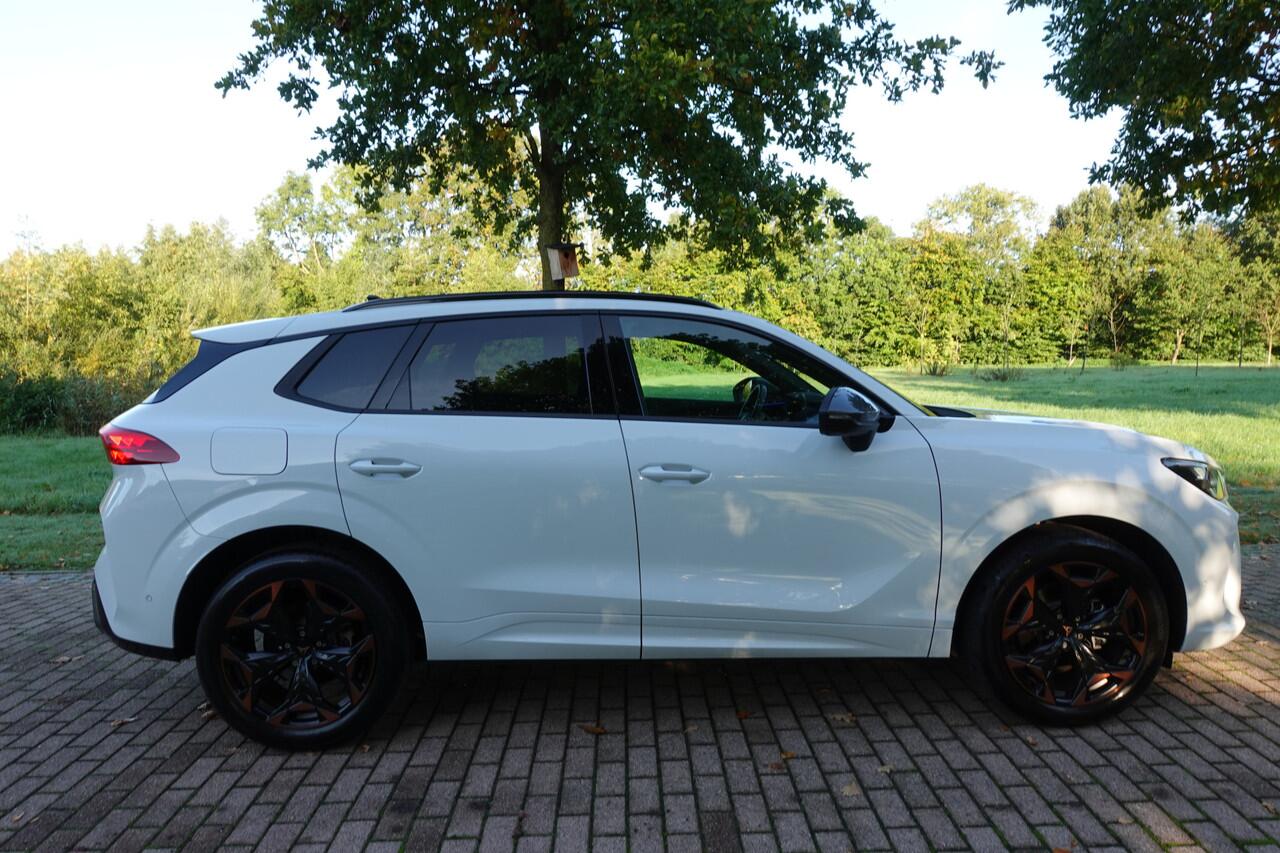 Cupra Terramar 1.5 TSI e-Hybrid Business | 360° Camera | Stoelverwarming | Memory | Stuurwielverw. |