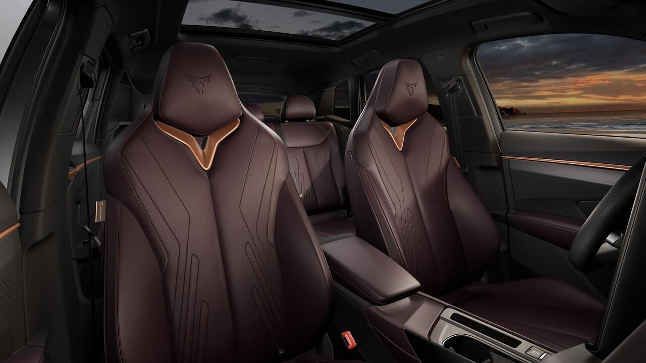 Cupra Terramar 1.5 TSI e-Hybrid 272 6DSG VZ Performance | 360 graden camera | Achteruitrijcamera | Draadloze Apple CarPlay(TM), Android Auto(TM)