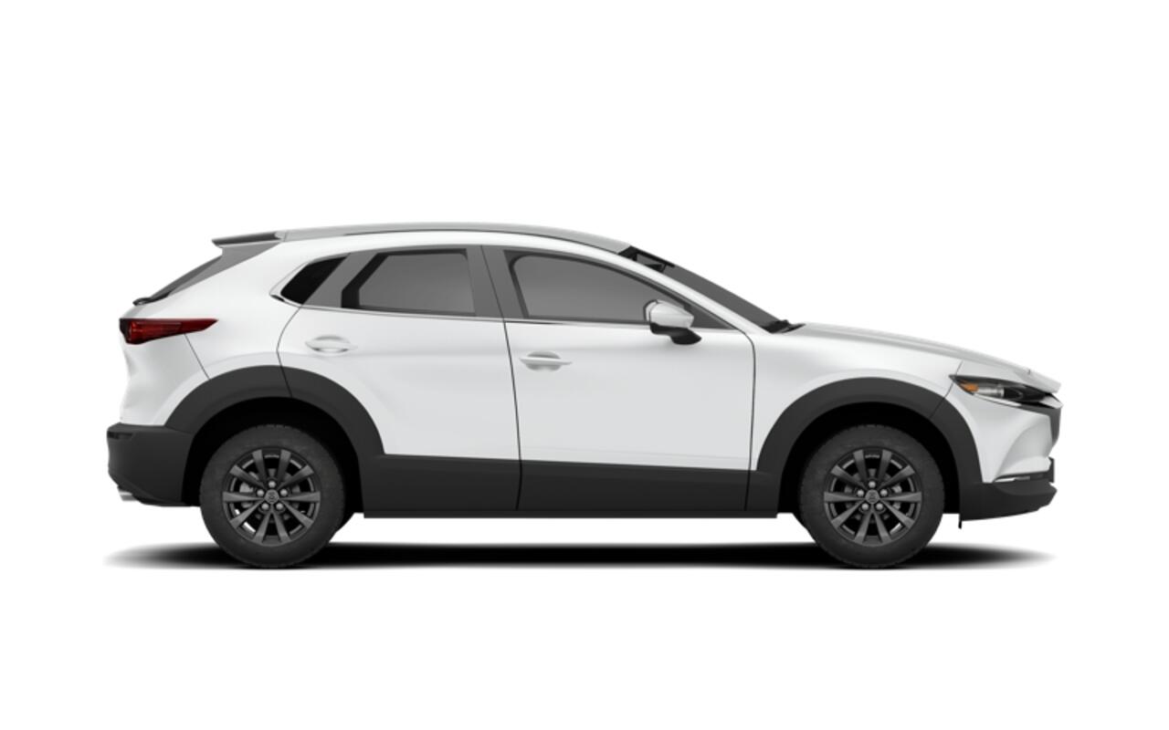 Mazda CX-30 Exclusive-Line Business Edition | 18-inch lichtmetalen velgen, Silver | 360° View Monitor | 7-inch digitale meterset