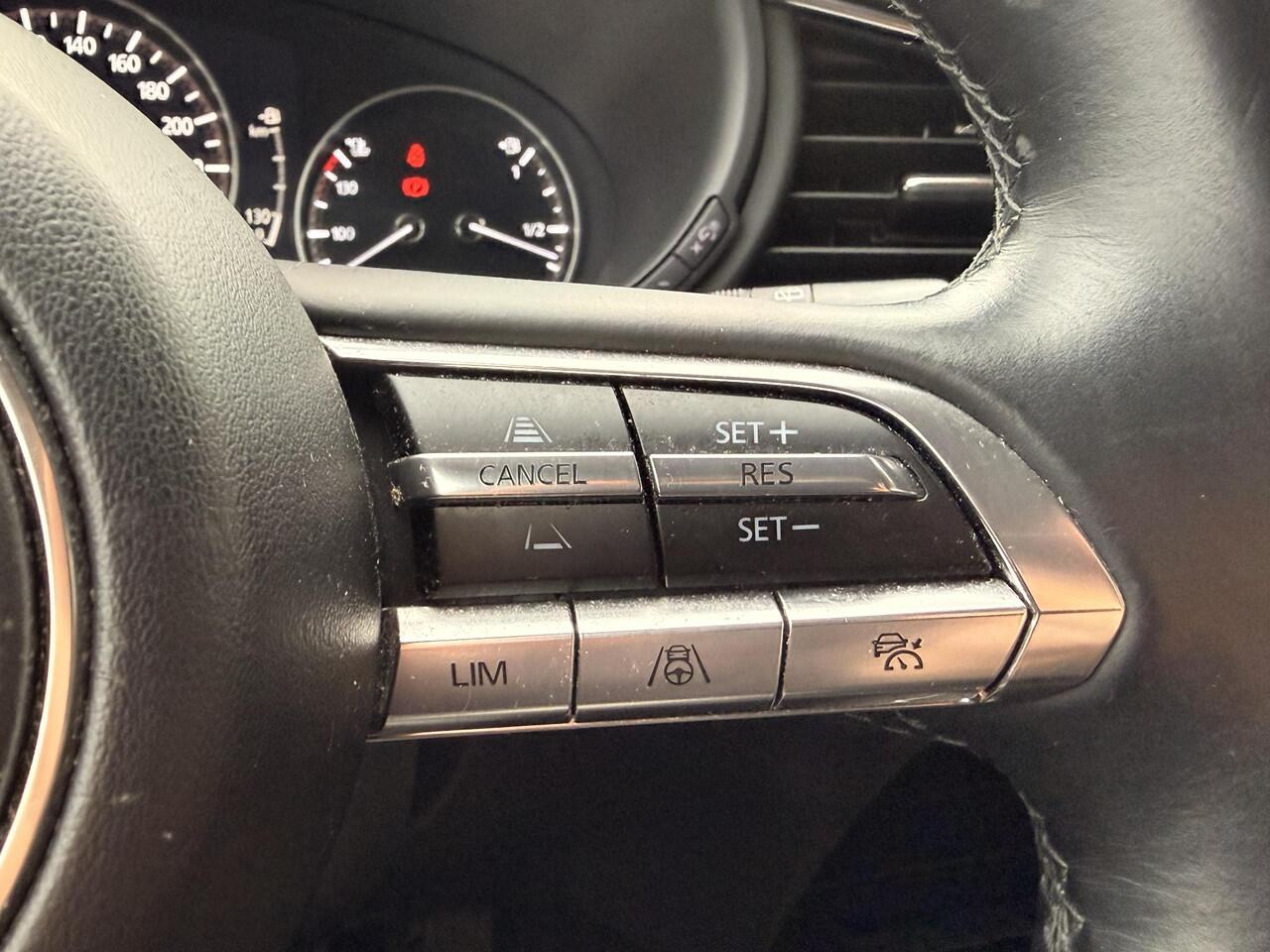 Mazda CX-30 2.0 e-SkyActiv-X M Hybrid Luxury iAS Pack | 360 CAMERA | TREKHAAK | LEDEREN BEKLEDING |