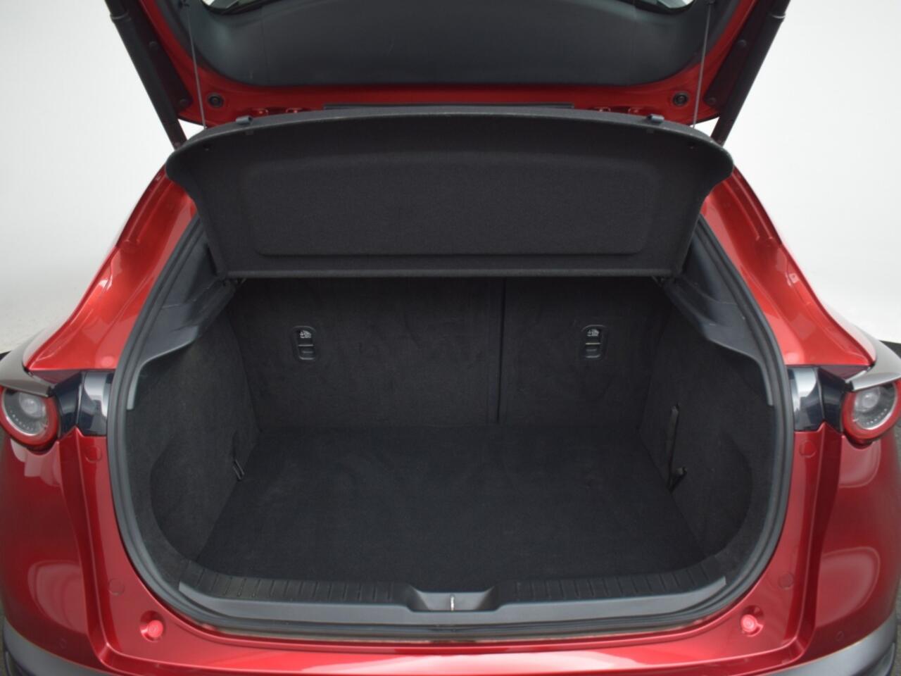 Mazda CX-30 2.0 SA-X COMFORT NAVI CAMERA 18 "LMV