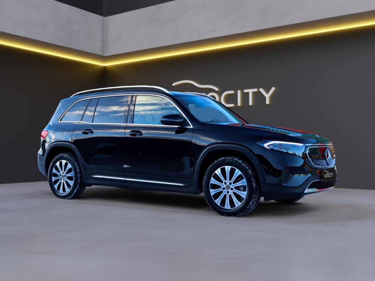 Mercedes-Benz EQB EQB 250 67 kWh 7 Persoons l Leder l Camera l Widescreen