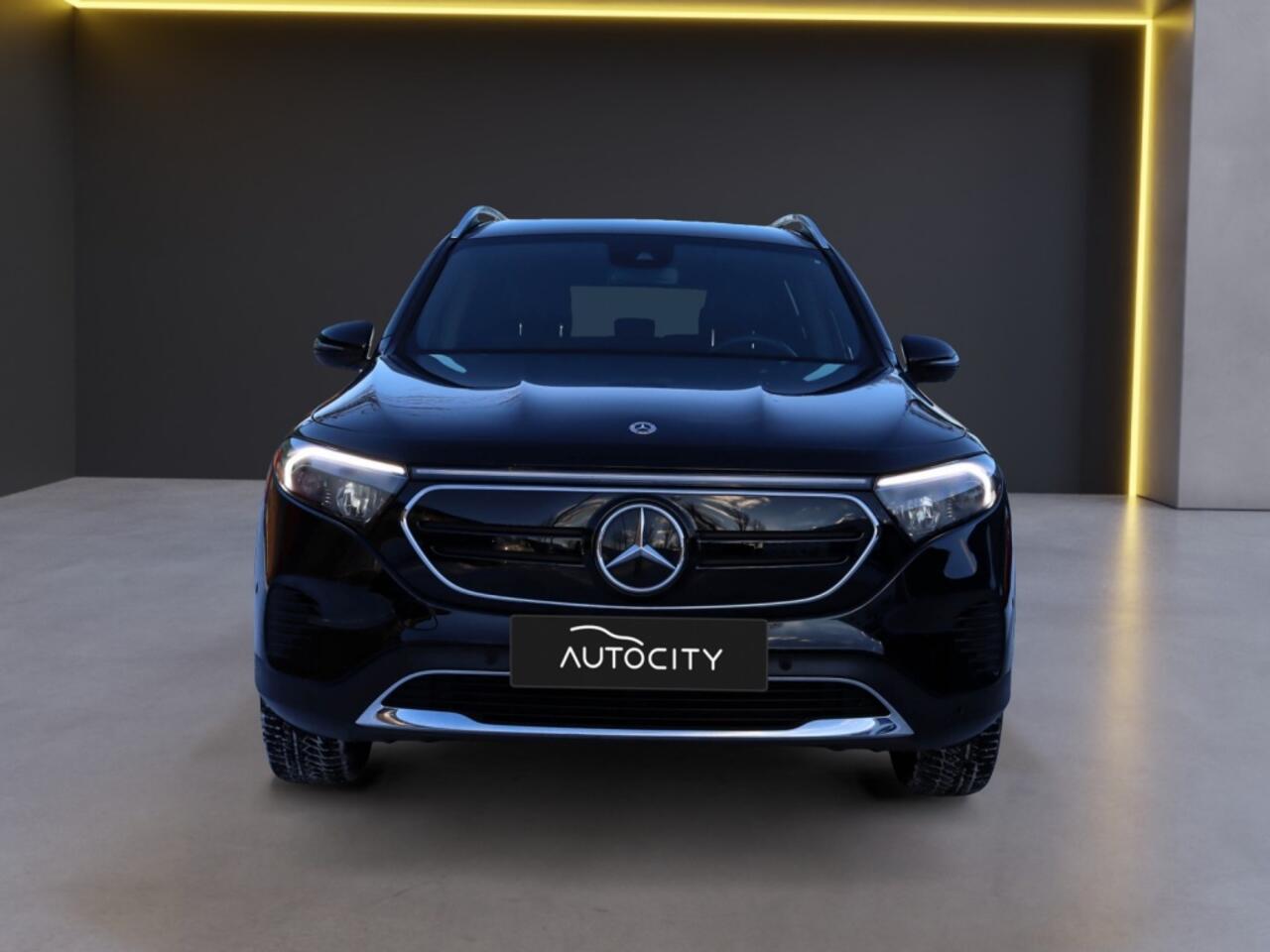 Mercedes-Benz EQB EQB 250 67 kWh 7 Persoons l Leder l Camera l Widescreen