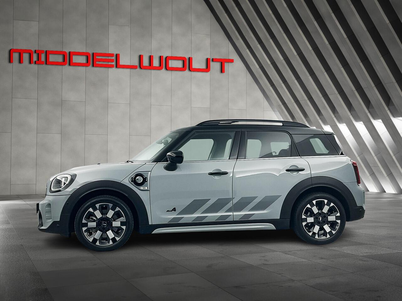 Mini COUNTRYMAN Mini 2.0 Cooper SE ALL4 Untamed /Pano/Leder/18'LMV