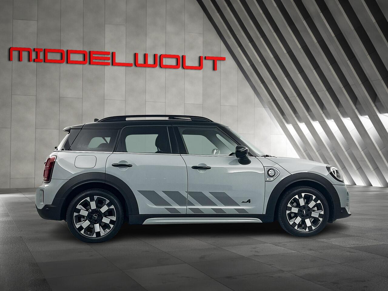 Mini COUNTRYMAN Mini 2.0 Cooper SE ALL4 Untamed /Pano/Leder/18'LMV