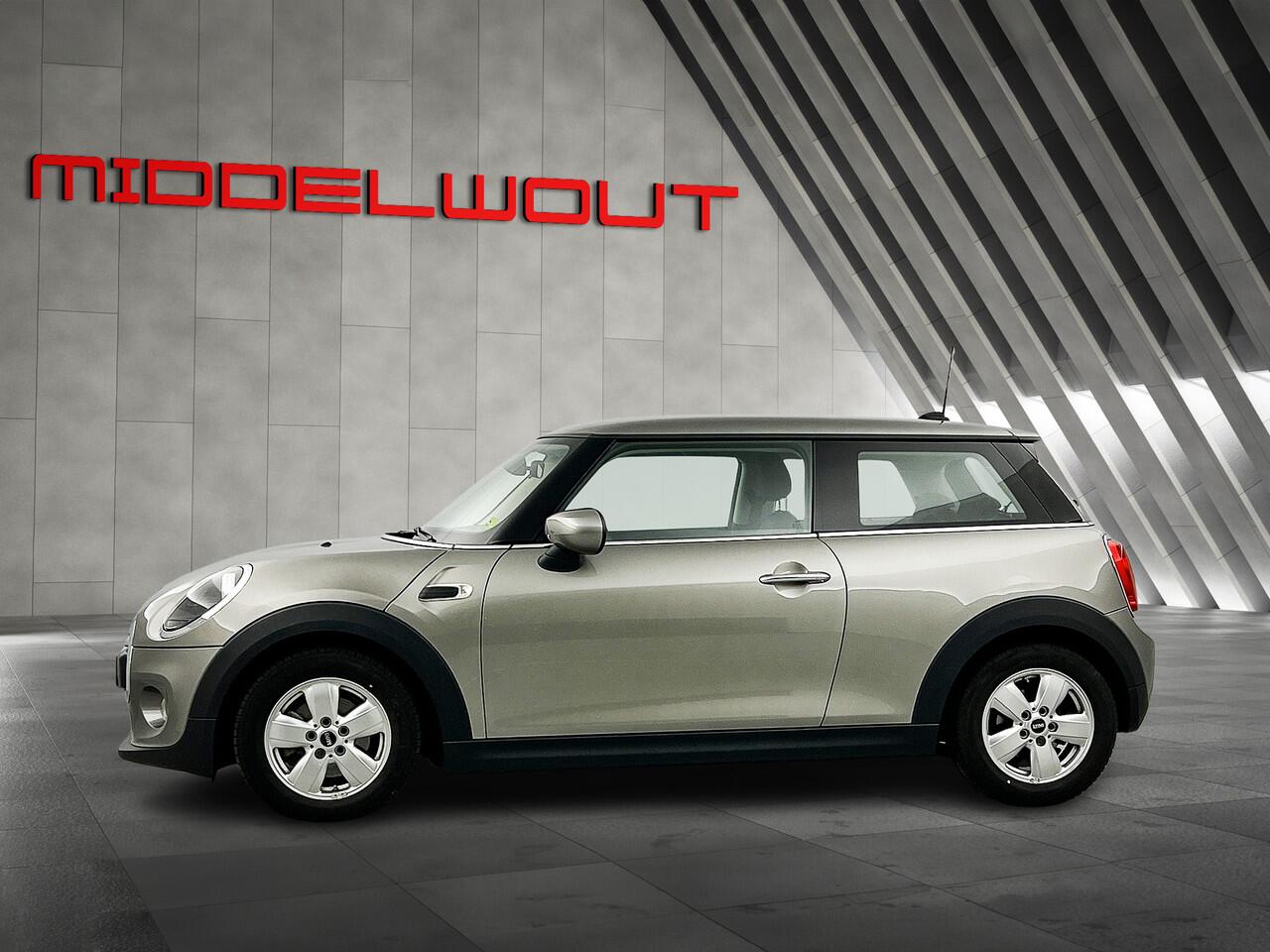 Mini MINI 1.5 Salt Edition Multimedia-Scherm//DAB/15'LMV/Bluetooth