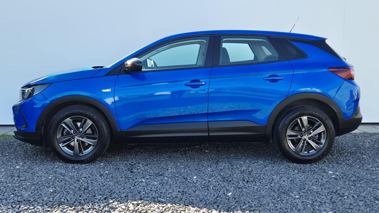 Opel Grandland 1.2 Turbo Winter Pakket - Zicht en Licht pakket