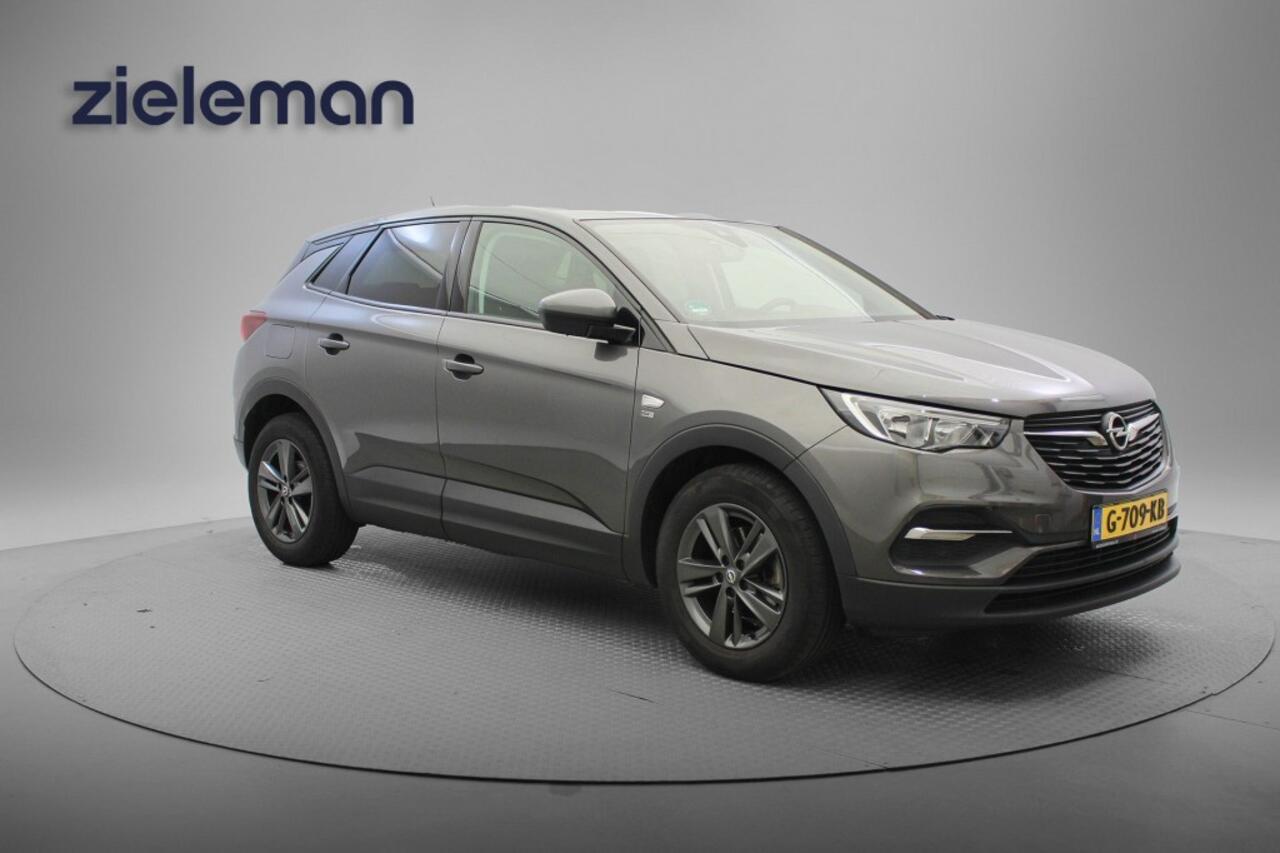Opel Grandland X 1.2 Turbo 120 Jaar Edition - Carplay, Cruise, Clima