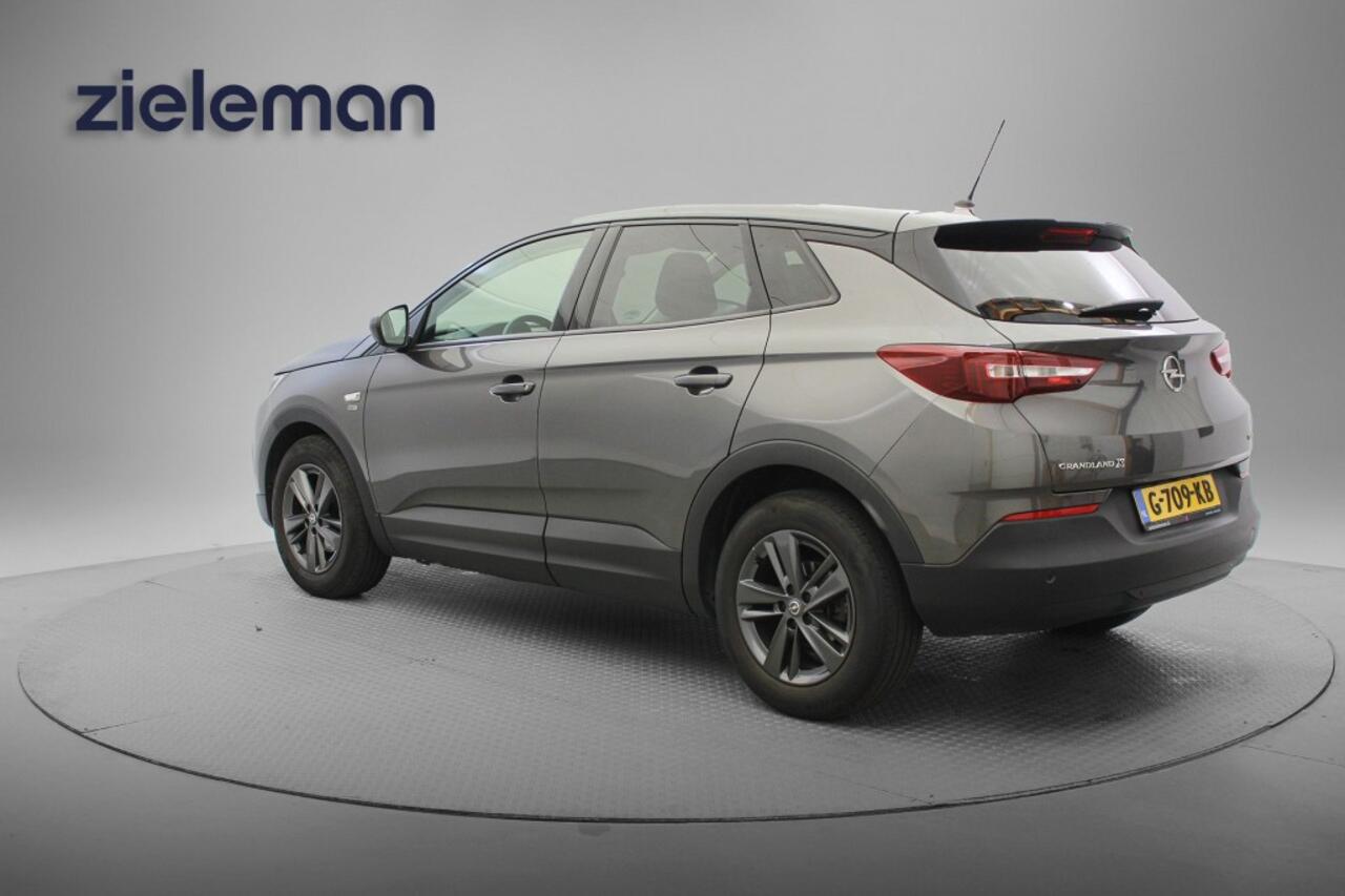 Opel Grandland X 1.2 Turbo 120 Jaar Edition - Carplay, Cruise, Clima