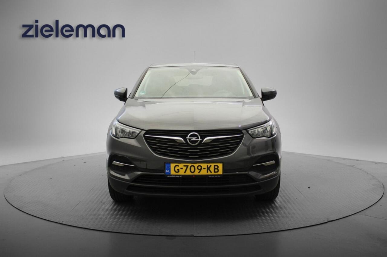 Opel Grandland X 1.2 Turbo 120 Jaar Edition - Carplay, Cruise, Clima