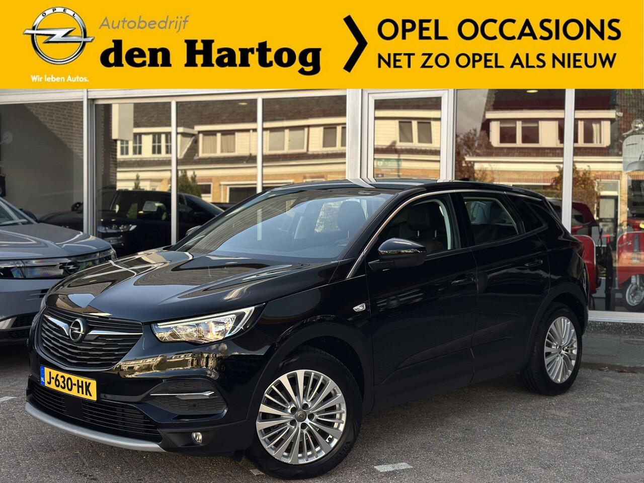 Opel Grandland X 1.2 Turbo Business Executive ECC/ CAMERA / Sensoren.