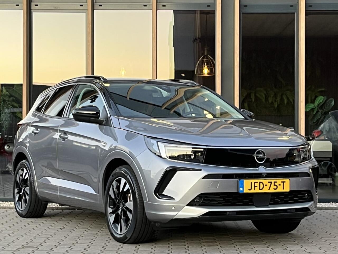 Opel Grandland 1.6 Turbo Plug-In Hybrid Elegance | Camera |