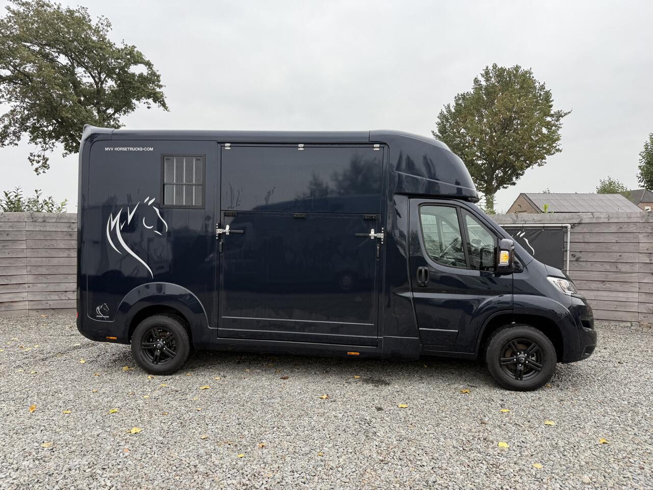 Opel MOVANO HORSETRUCK STX AKX 3XL BLUE | 2023 | HENGST | 14.000KM | 3-SEAT | LEER | CAMERA | NL KENTEKEN