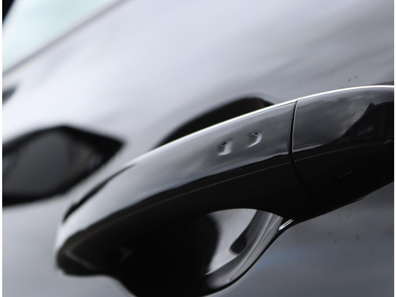 Renault SCENIC 1.3 TCe Limited | 1e eigenaar | Trekhaak | All seasons | Camera