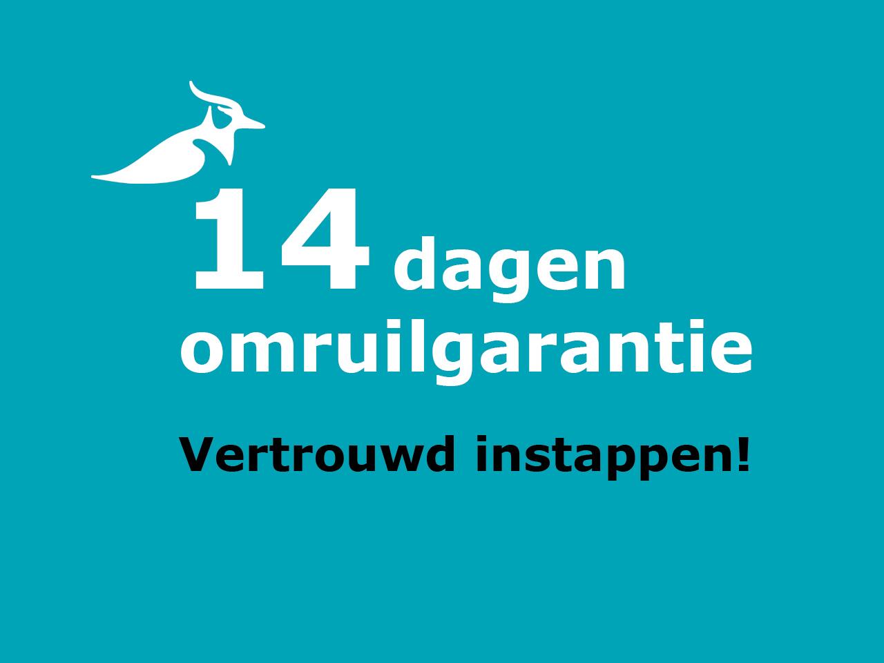 Renault SCENIC E-Tech EV87 long range techno - pack advanced driving assist