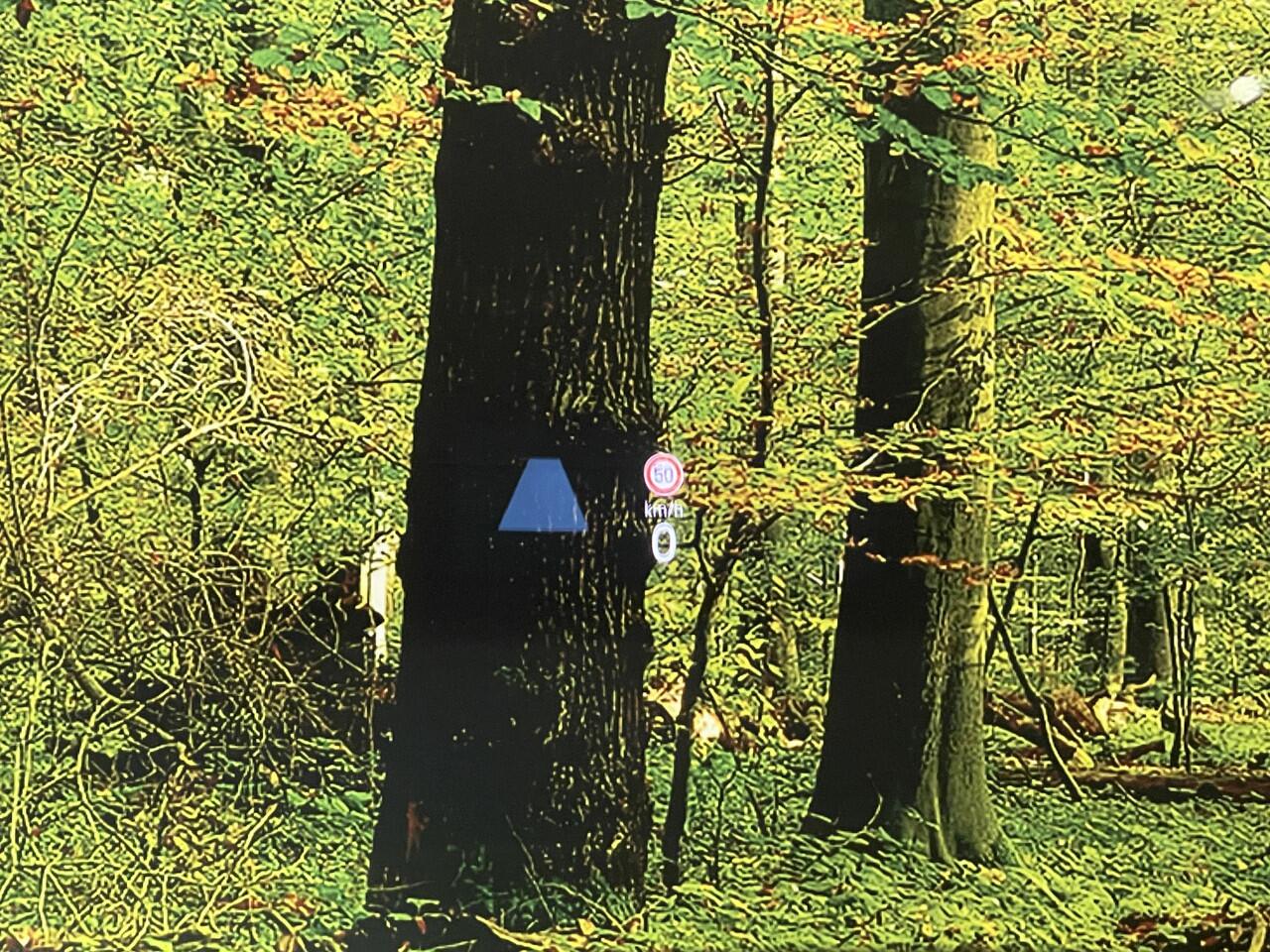 Volkswagen GOLF 1.5 eTSI Life Business | Panoramadak | Apple Carplay | Head-Up-Display | Sfeerverlichting | Stop&GO | DAB+ |