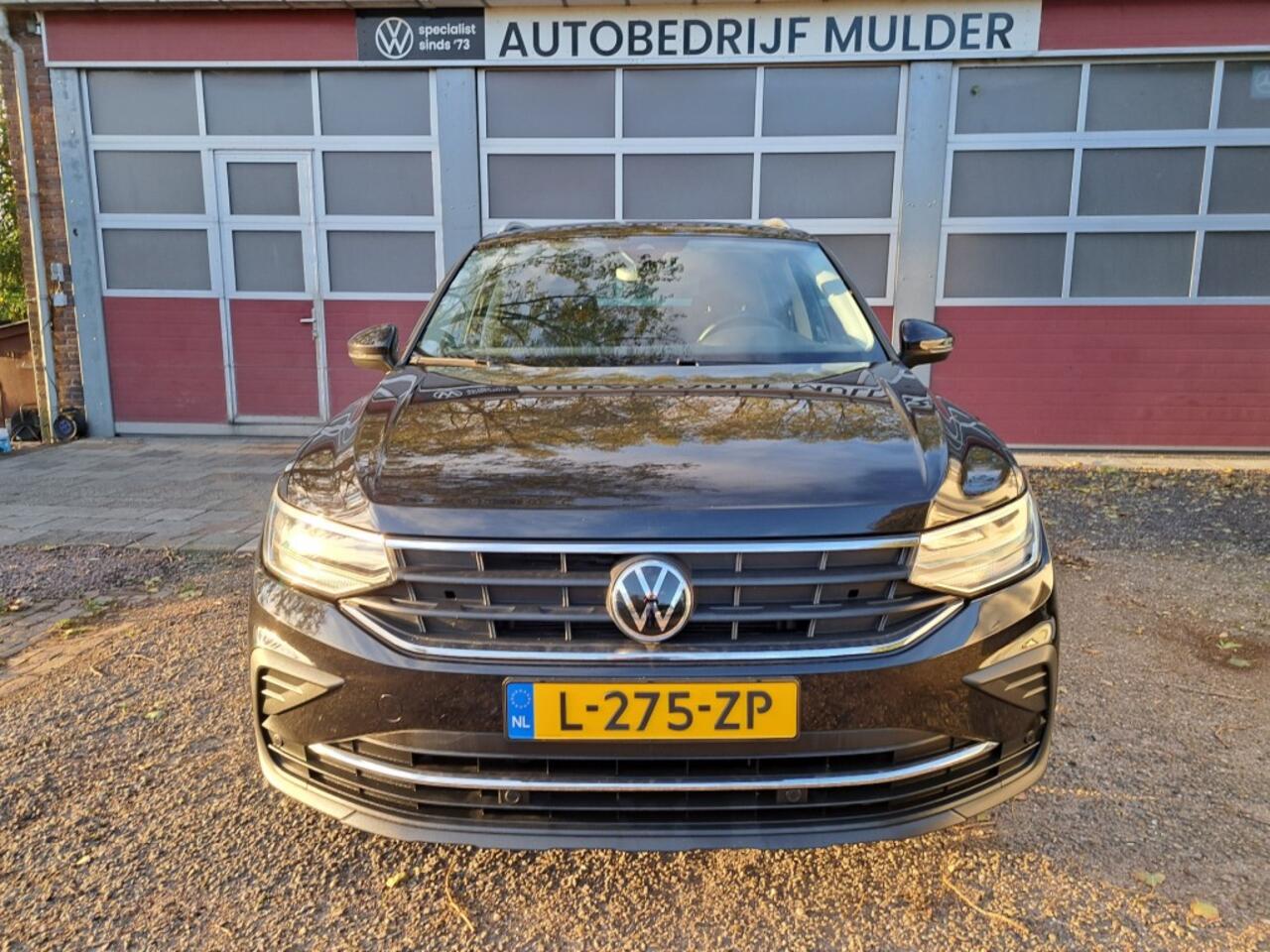 Volkswagen TIGUAN 1.5 TSI 130 Pk Highline Bs Alcantara Ecc Nav. Apple Carplay 6 Bak